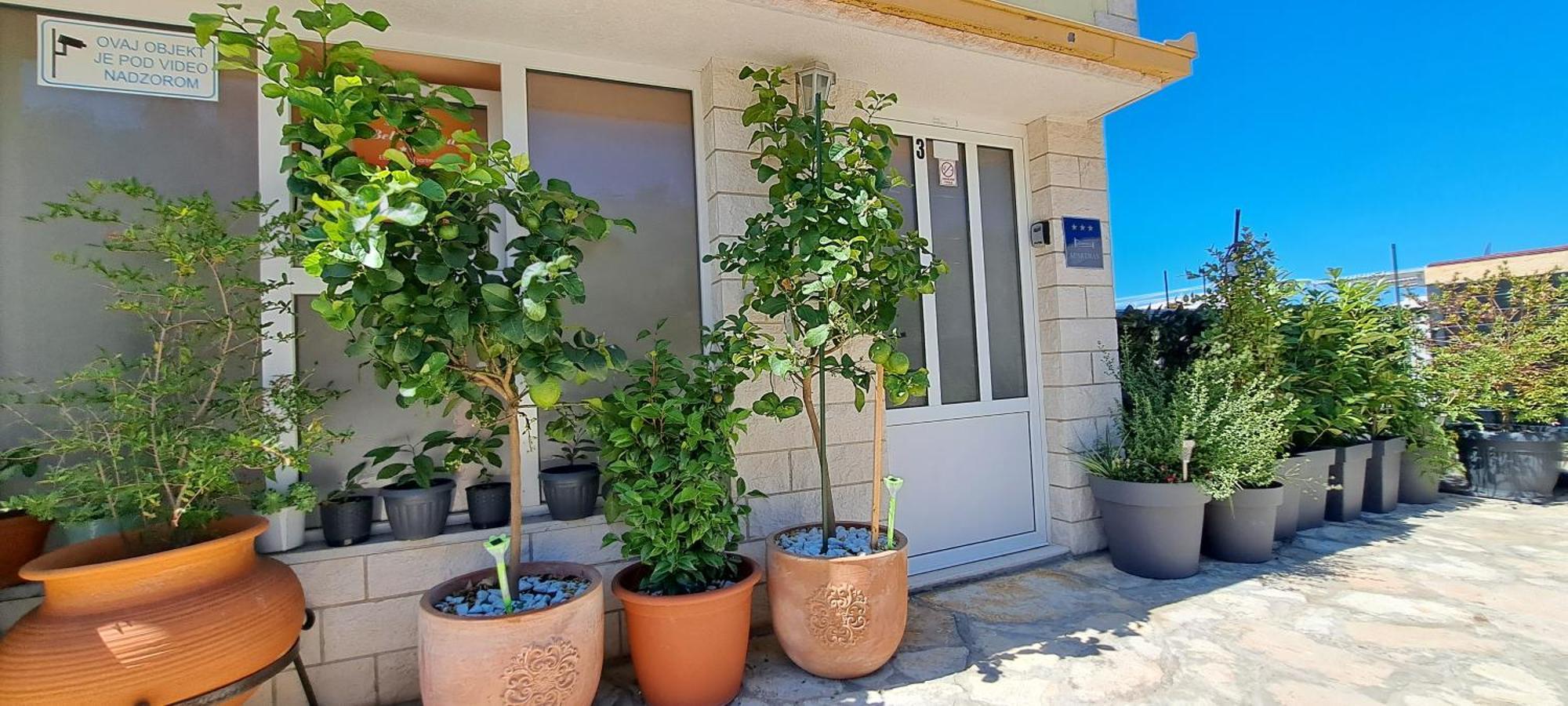 Apartments Villa Bella Vista Hvar Hvar Town Exterior photo